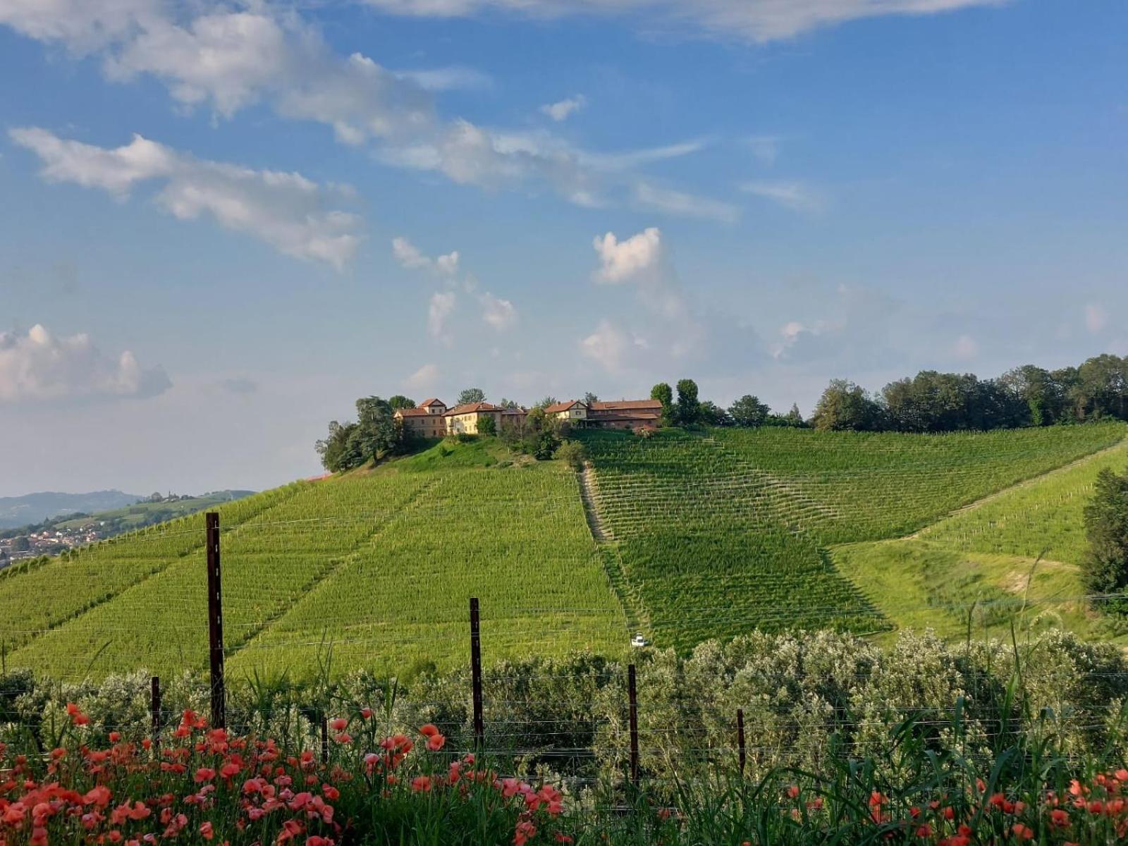 Tenuta Montanello B&B Кастильоне-Фаллетто Экстерьер фото