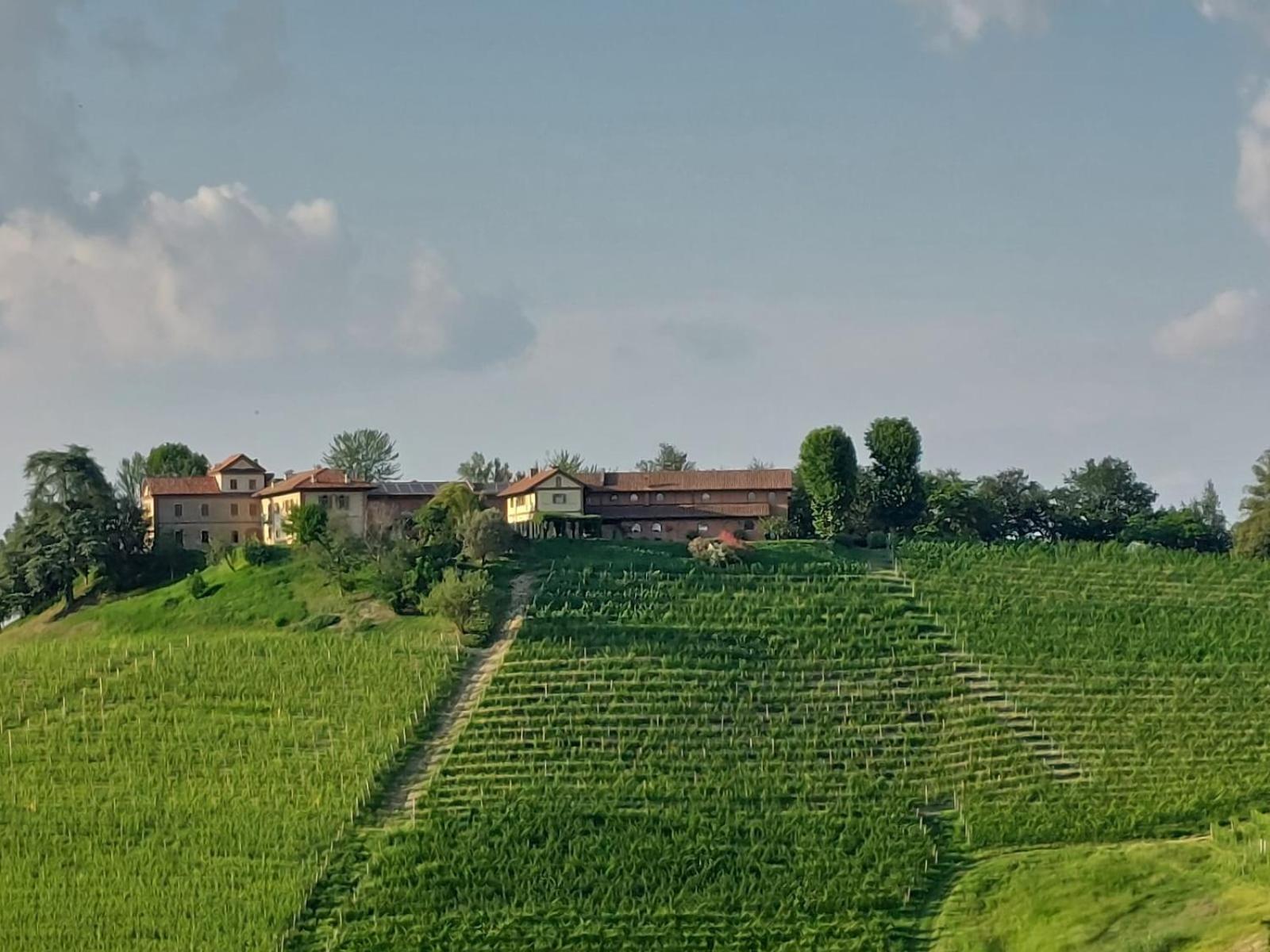 Tenuta Montanello B&B Кастильоне-Фаллетто Экстерьер фото